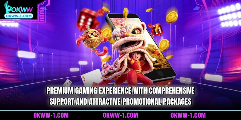 Premium gaming experience with comprehensive support and attractive promotional packages