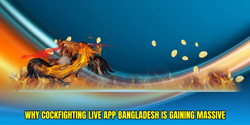 Why Cockfighting live app Bangladesh Is Gaining Massive Attention